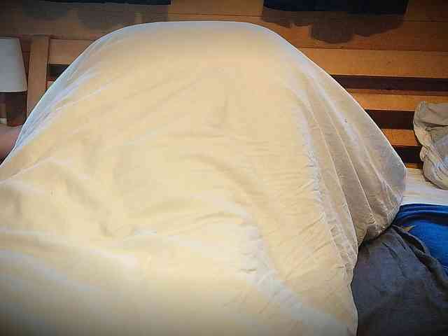 Hanssexchat2 Hanssexchat2