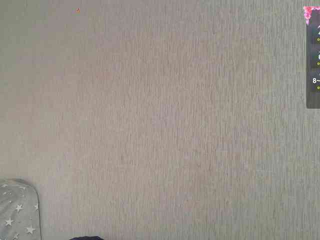 MagicalLouu webcam