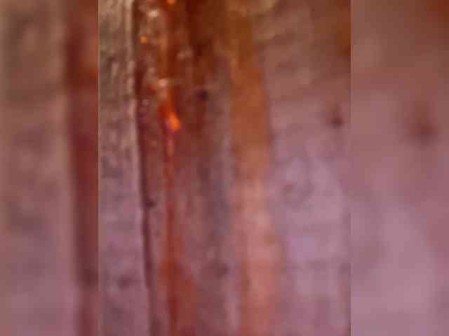 striptease web cam Purplewife