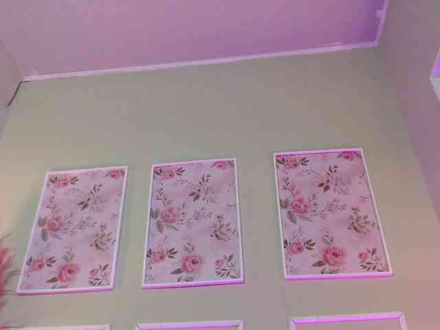 HairyValeri webcam