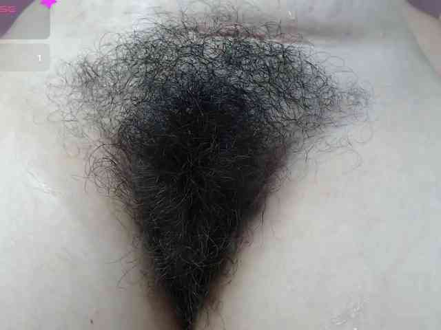 HairyValeri webcam