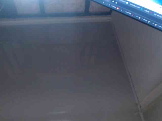HairyValeri webcam