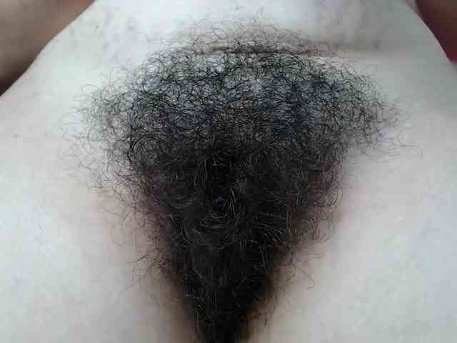 HairyValeri webcam