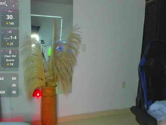 dania-miller webcam