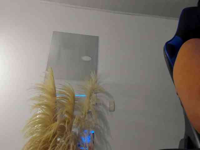 dania-miller webcam