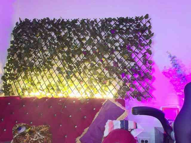 EllenaBoobs webcam