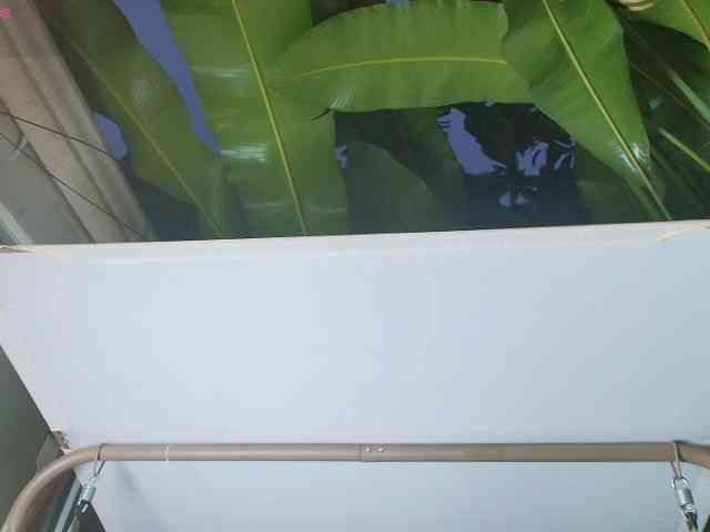 SCARLETTE04 SCARLETTE04