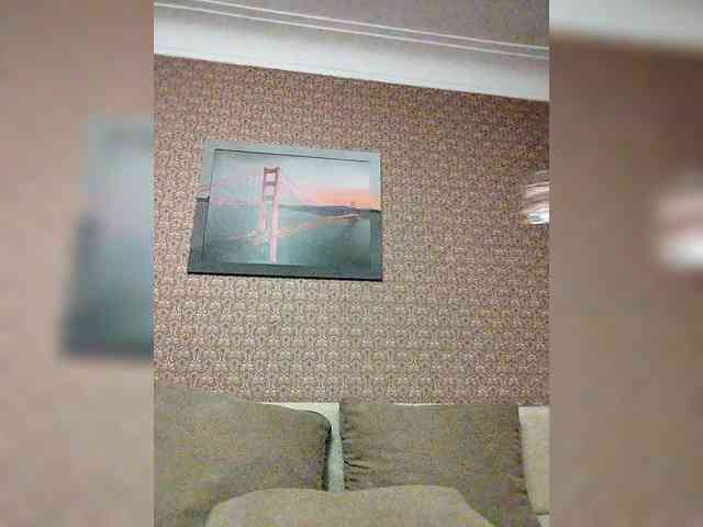 Mozaika webcam