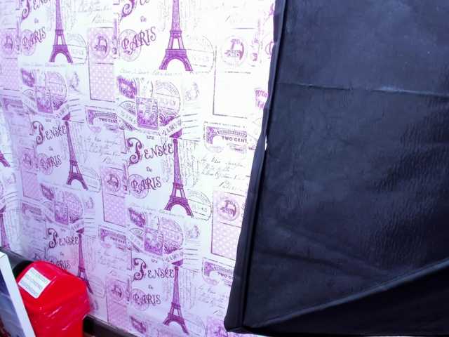 Preview of salmasantos