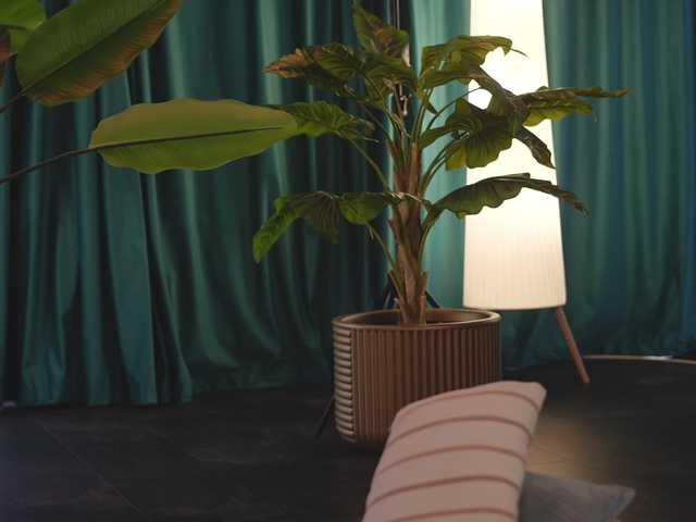 Asssmerising's BongaCams show and profile