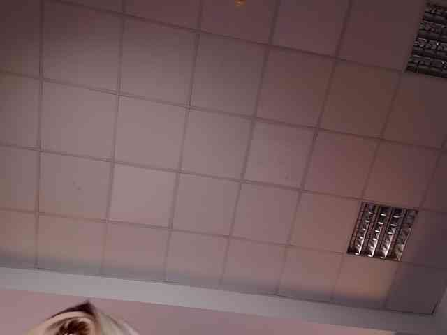 Asssmerising webcam