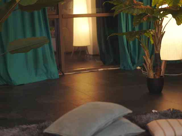 Asssmerising webcam