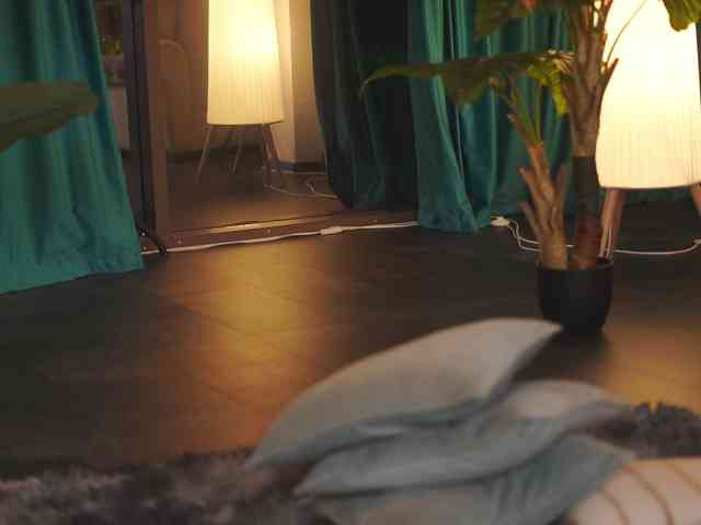 Asssmerising webcam