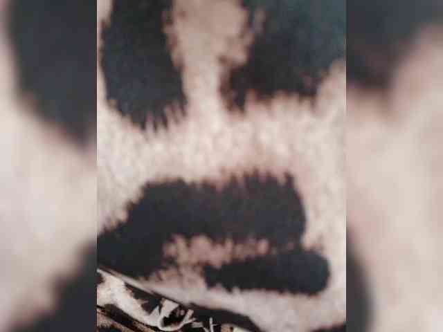 innaginna1984 webcam