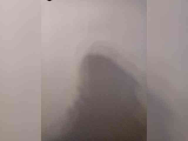Модель: leylla_
