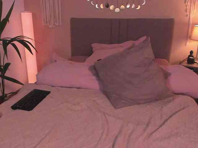 DearMoa webcam