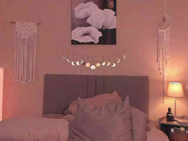 DearMoa webcam