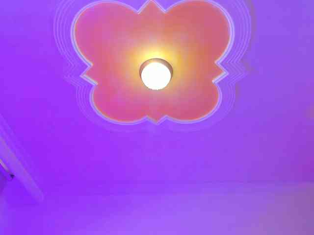 SteffyMontes webcam