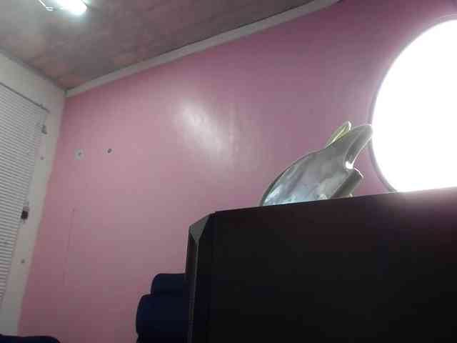 VaiiolethSex webcam