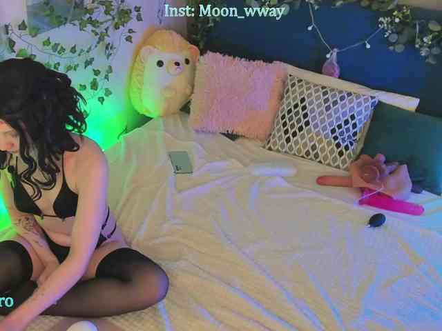 moonwway webcam