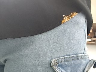 Bunnygreen Porn Show