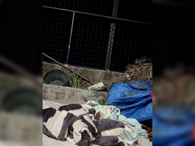 Bunnygreen's BongaCams show and profile