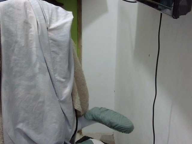 Preview of bunnygreen