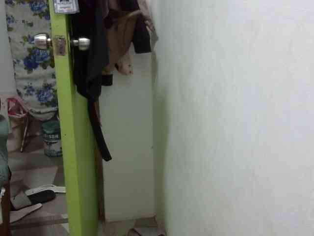 Bunnygreen Bunnygreen