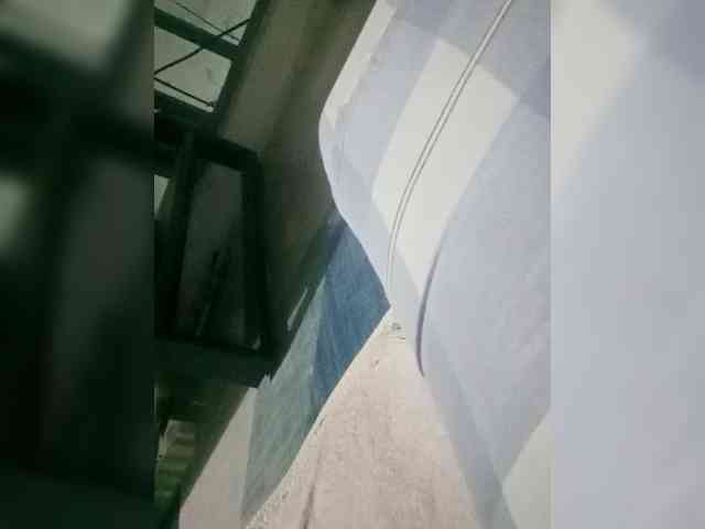 Bunnygreen Bunnygreen