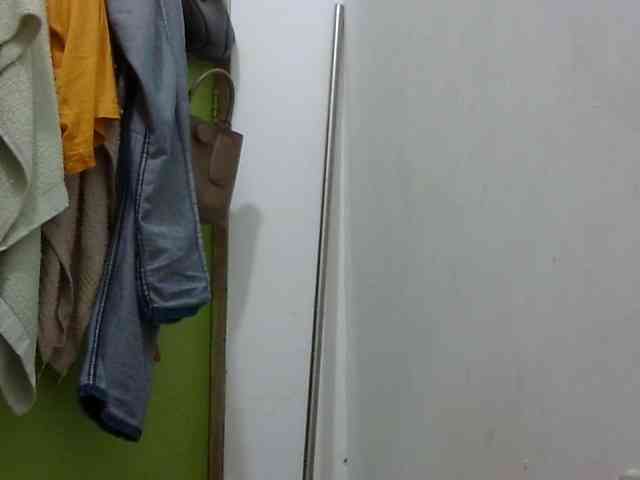 Bunnygreen webcam
