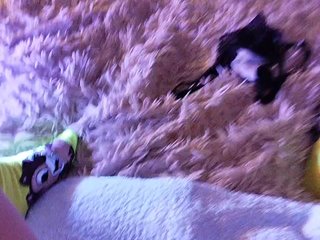 Piff_Pawlady Porn Show