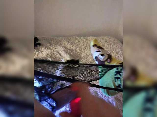 amazingtits-5D's BongaCams show and profile