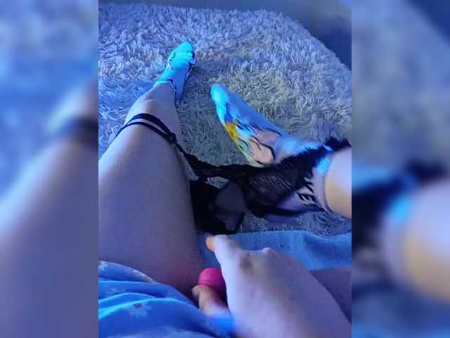 amazingtits-5D's BongaCams show and profile