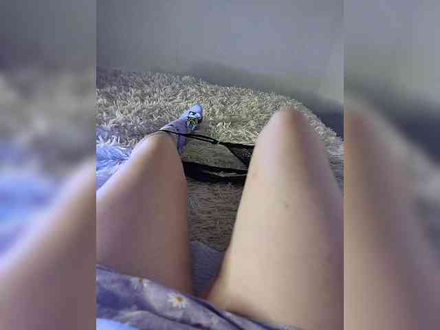 amazingtits-5D amazingtits-5D