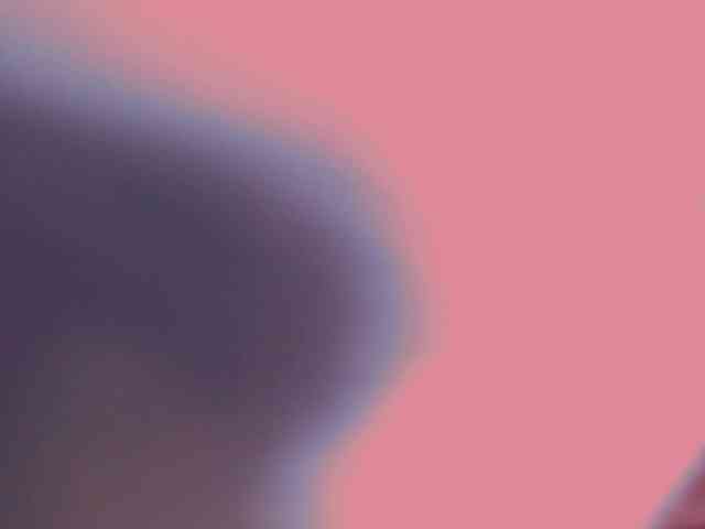 Piff_Pawlady webcam