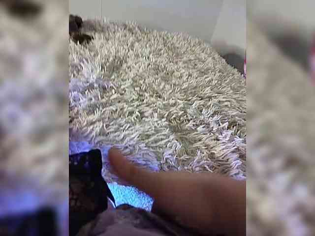 Piff_Pawlady webcam