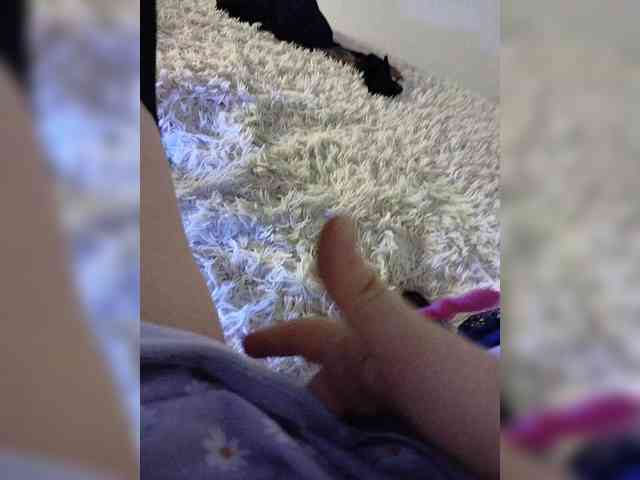 Piff_Pawlady webcam