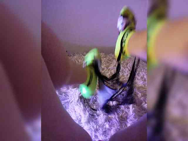 amazingtits-5D amazingtits-5D