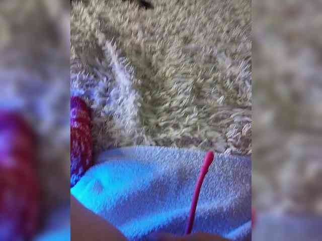Piff_Pawlady webcam