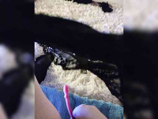 Piff_Pawlady webcam