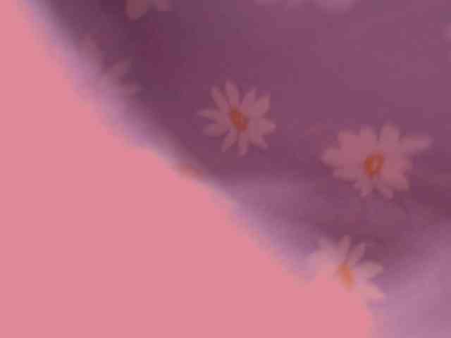 Piff_Pawlady webcam