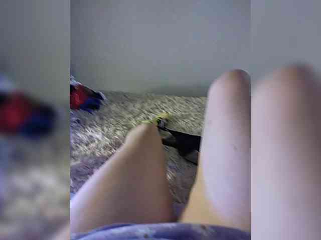 amazingtits-5D amazingtits-5D