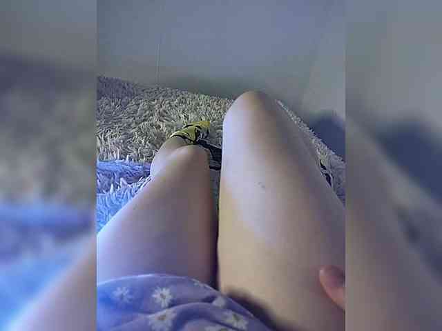 amazingtits-5D amazingtits-5D