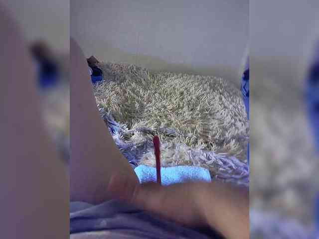 amazingtits-5D amazingtits-5D