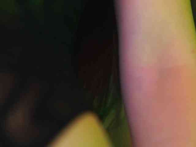 hd webcam CarlaGavin