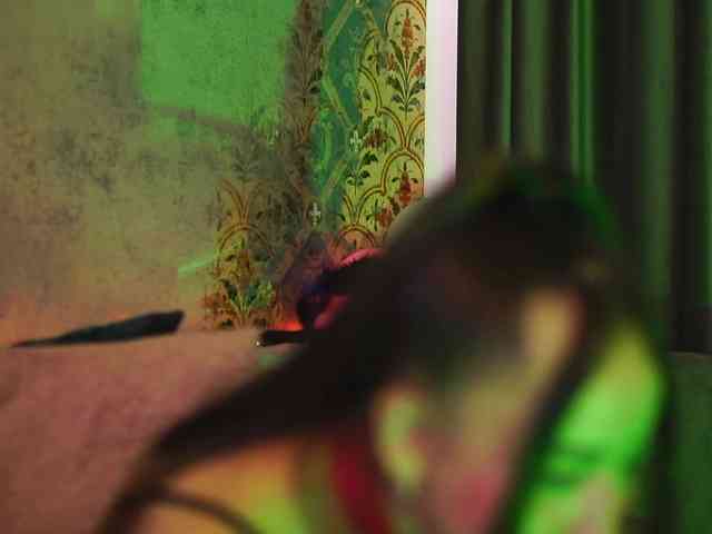 CarlaGavin webcam