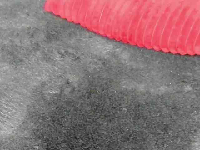 YasminStorm webcam