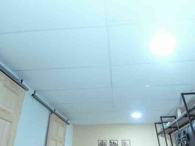 Carlin1511 Carlin1511