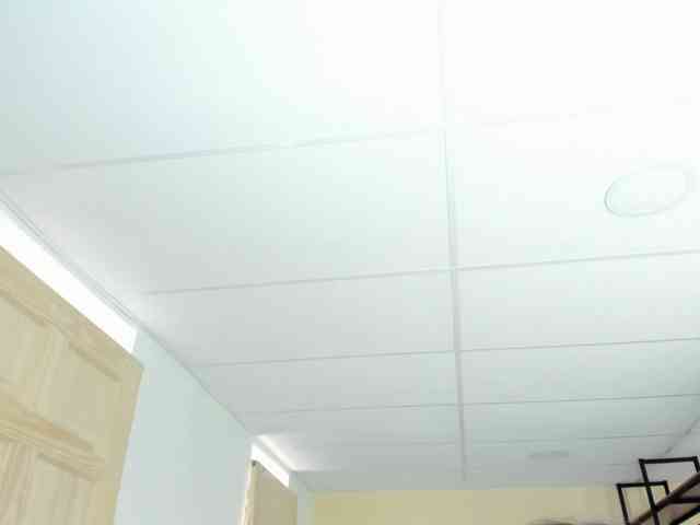 Carlin1511 webcam