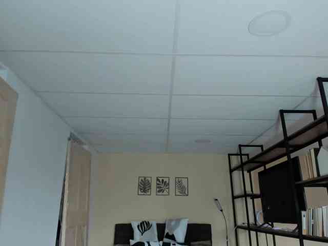 Carlin1511 webcam